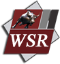 WallStreet Research™ (WSR)